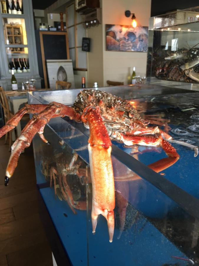 La Table De Jeanne Hotel Erquy Ngoại thất bức ảnh